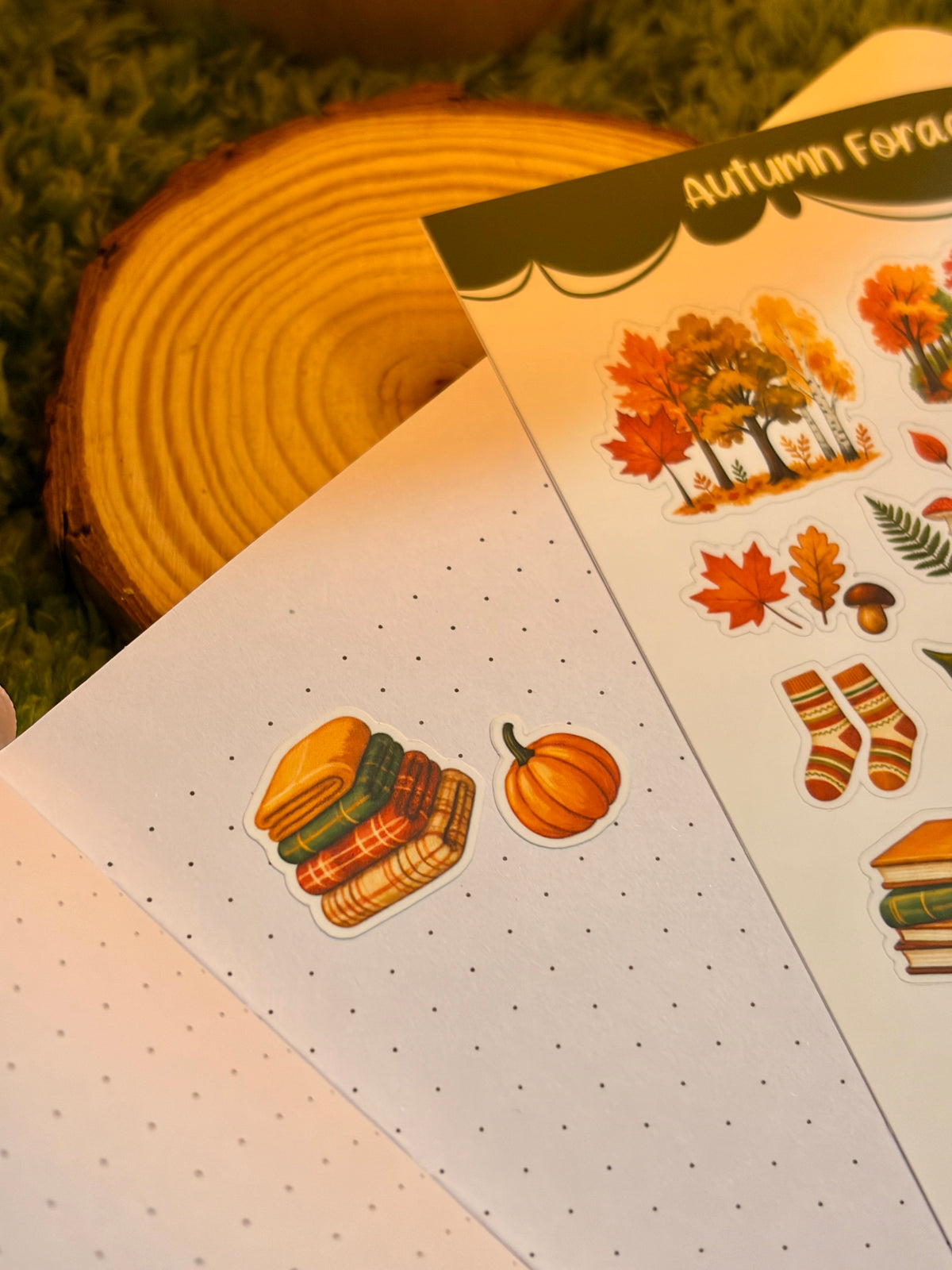 Autumn Foraging Sticker Sheet