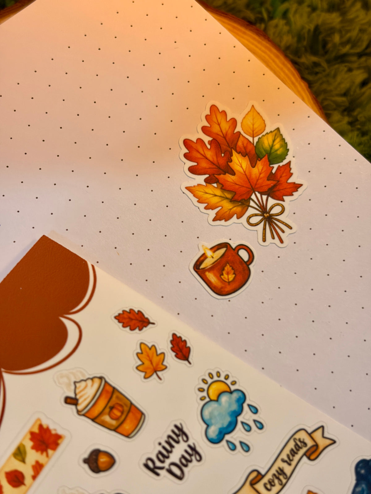 Books & Cozy Vibes Sticker Sheet